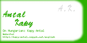 antal kapy business card